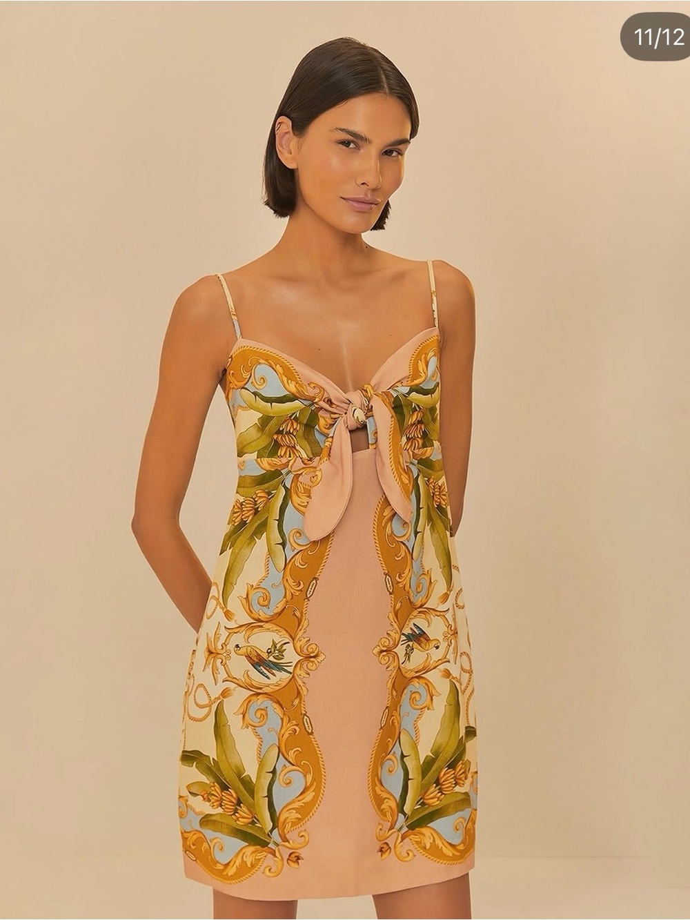 Farm Rio Tie-Front Printed Mini Dress in Blush and Gold Size Small